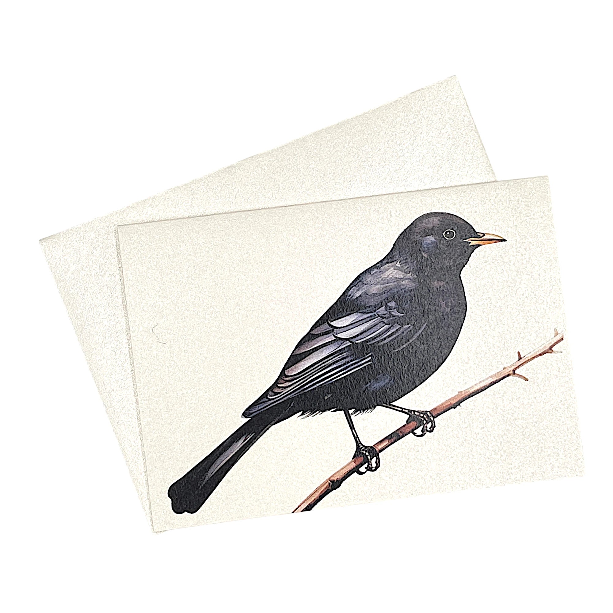 Klappkarte mit einer Amsel auf Ast