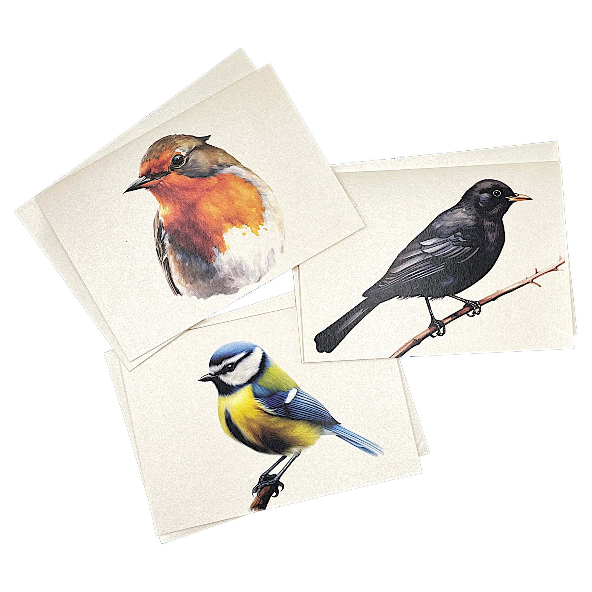 Drei Klappkarten mit Vögel. Rotkehlchen, Blaumeise und Amsel