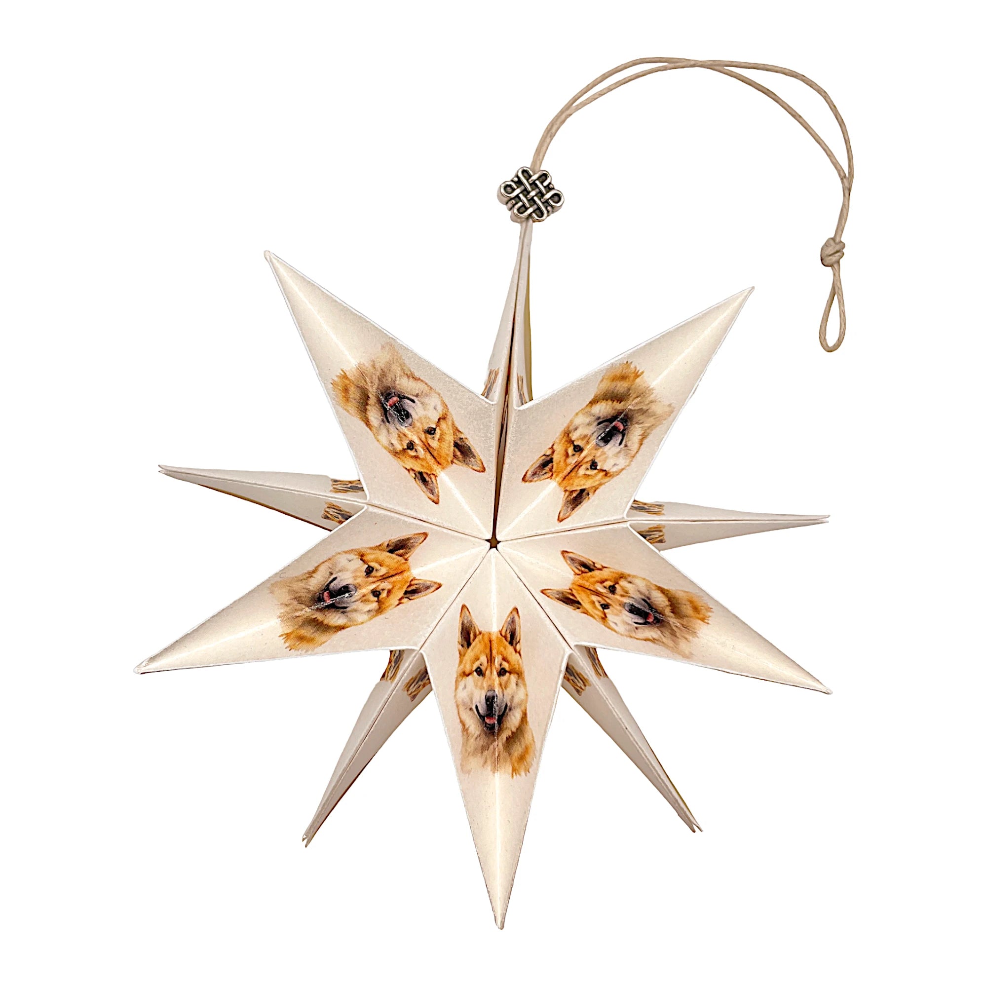 Papierstern Faltstern Aufklappstern Akita