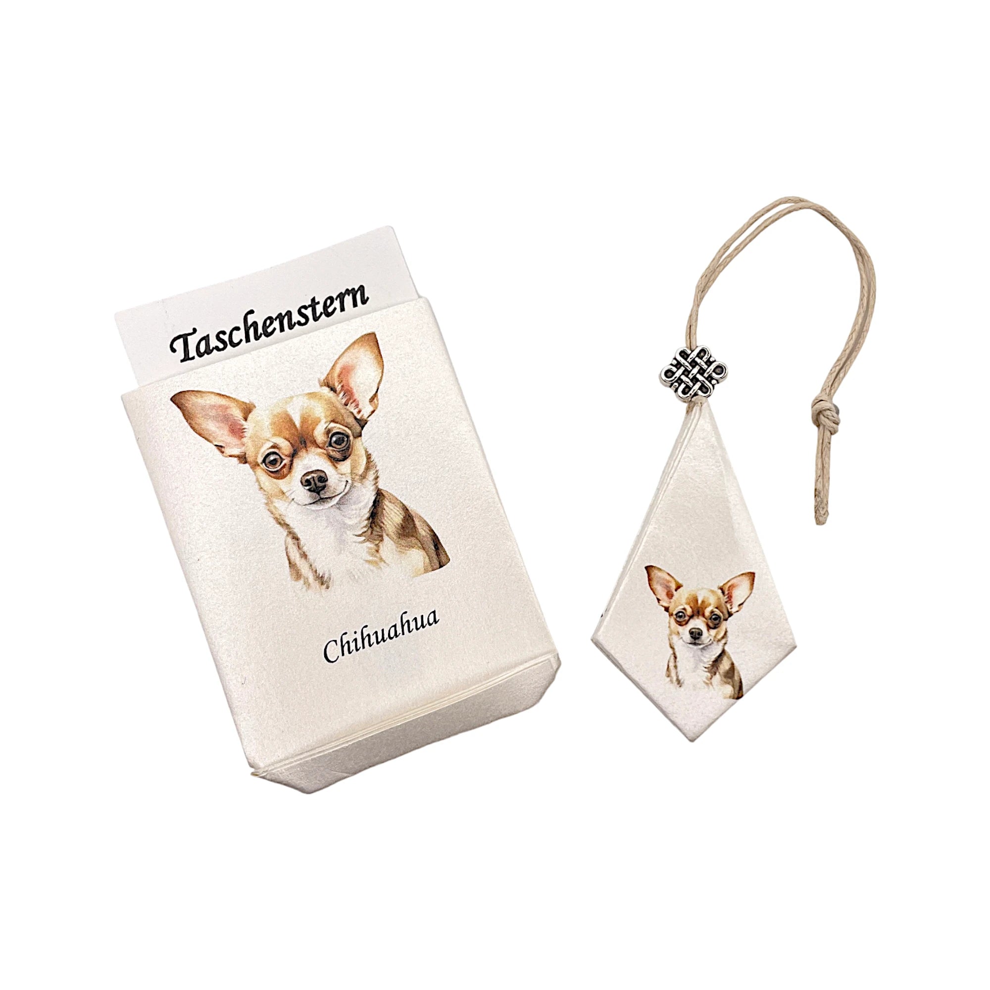 Taschenstern-Papierstern als Etui mit Chihuahua