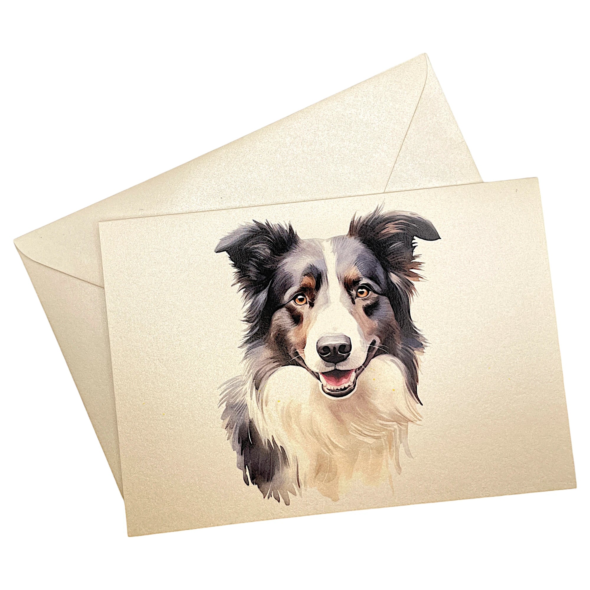 Klappkarte mit Border Collie auf passendem Umschlag aus Perlglanzpapier