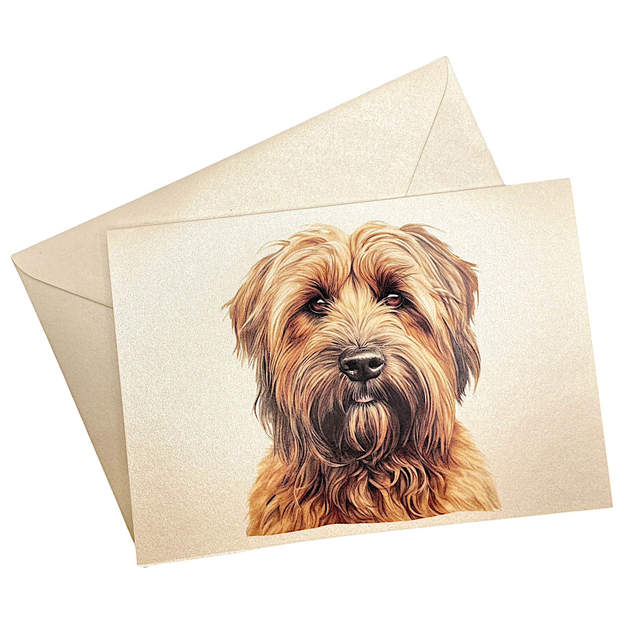 Klappkarte mit Briard auf passendem Umschlag aus Perlglanzpapier