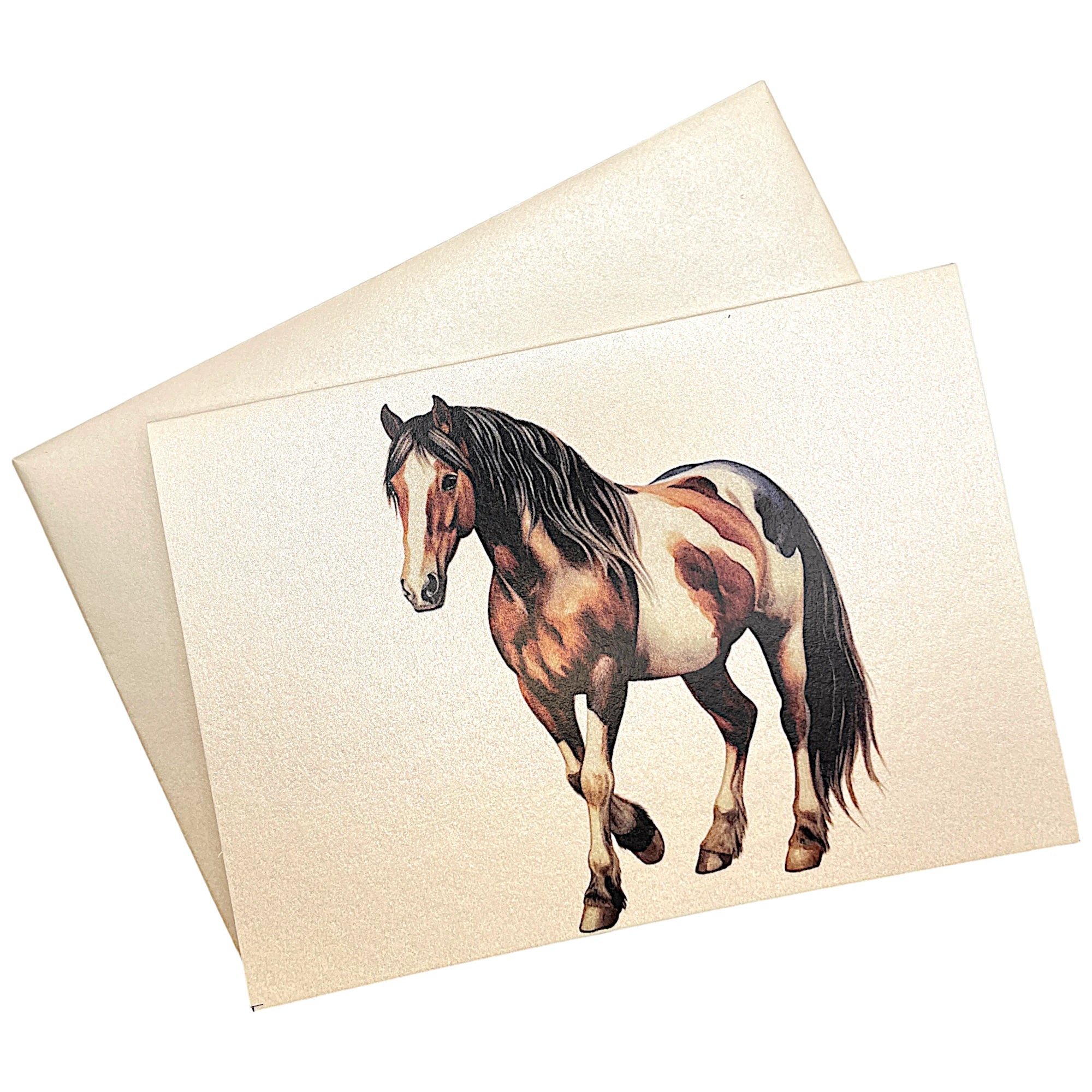 Klappkarte mit Pinto-Pferd auf passendem Umschlag aus Perlglanzpapier
