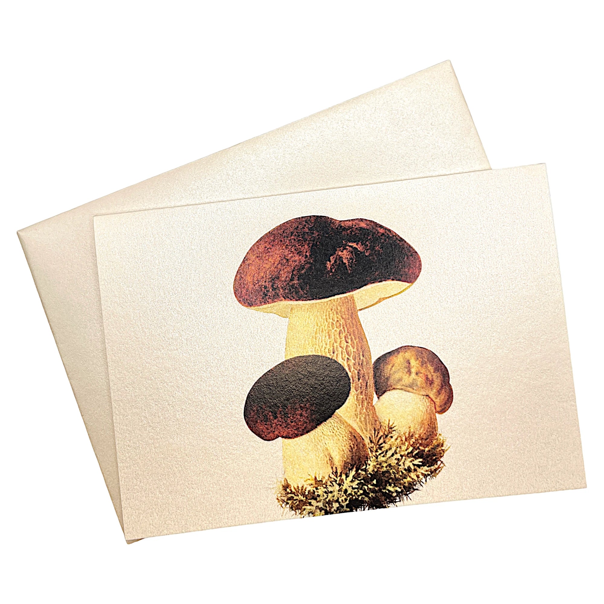 Klappkarte mit Steinpilz auf passendem Umschlag aus Perlglanzpapier