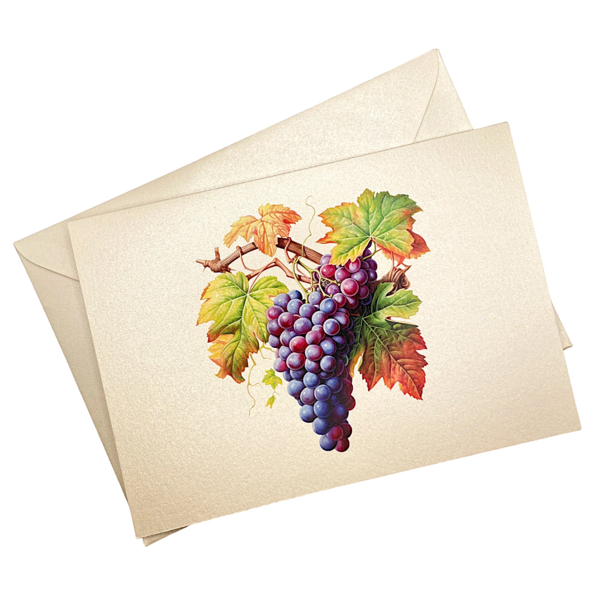 Klappkarte mit Weintrauben auf passendem Umschlag aus Perlglanzpapier