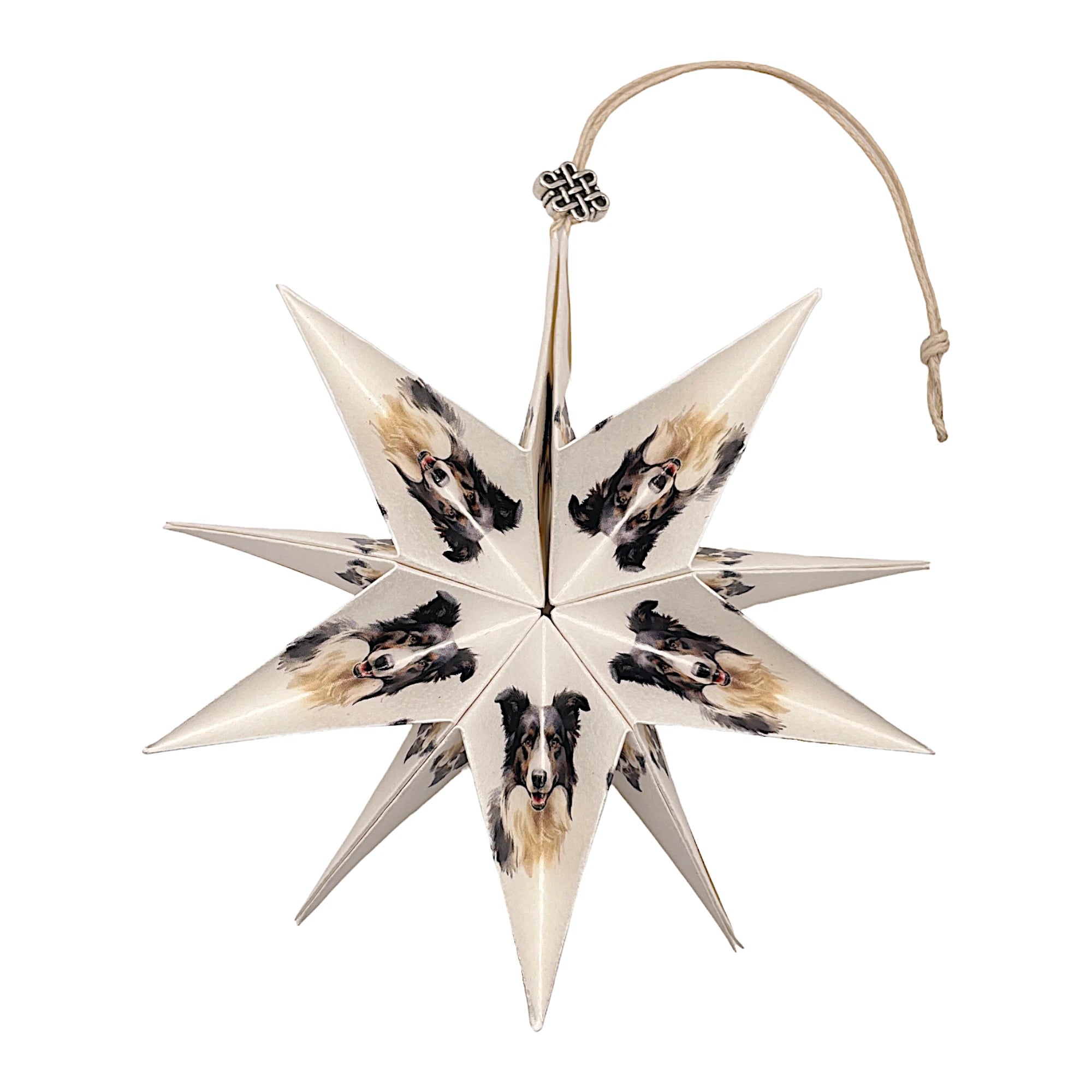 Handgefertigter Papierstern mit Border Collie-Motiv, kunstvoll gefaltet