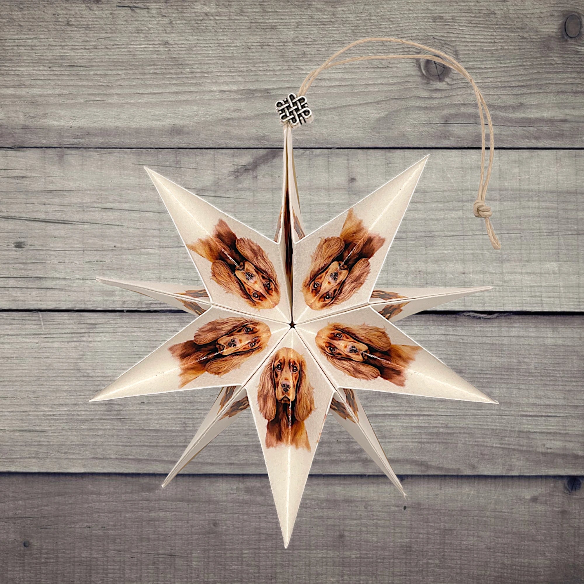 Papierstern mit Cockerspaniel-Motiv, dekorativ präsentiert auf rustikalem Holzhintergrund