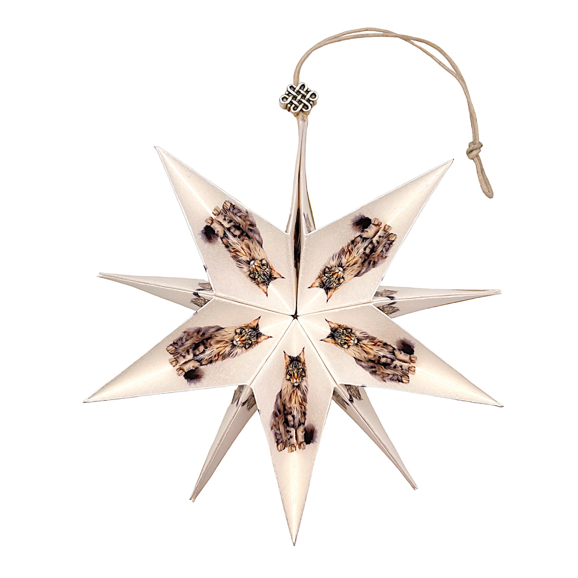 Handgefertigter Papierstern mit Maine Coon-Katzenmotiv, kunstvoll gefaltet