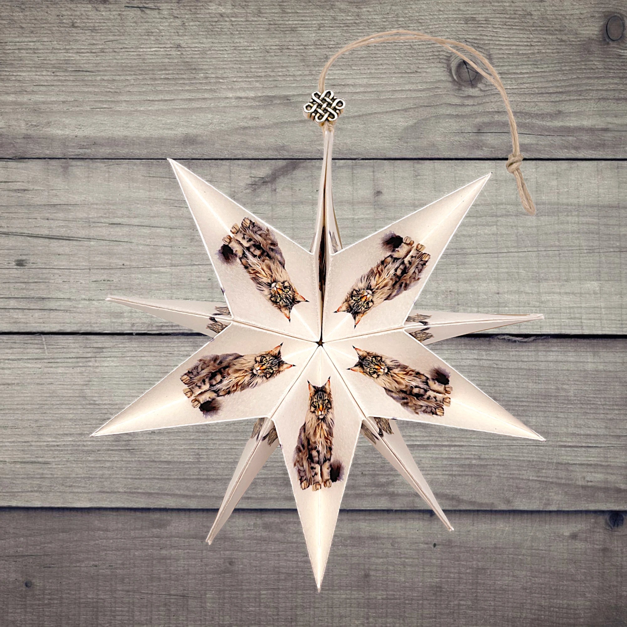 Papierstern mit Maine Coon-Katzenmotiv, dekorativ auf rustikalem Holztisch arrangiert