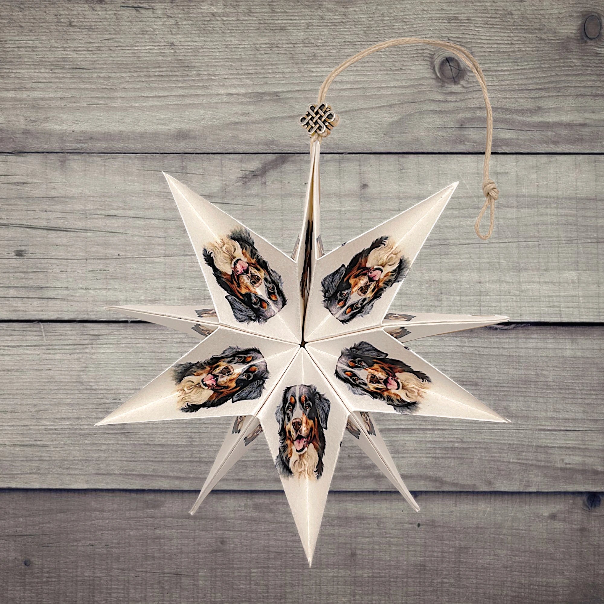 Papierstern mit Sennenhund-Motiv, dekorativ präsentiert auf rustikalem Holzhintergrund