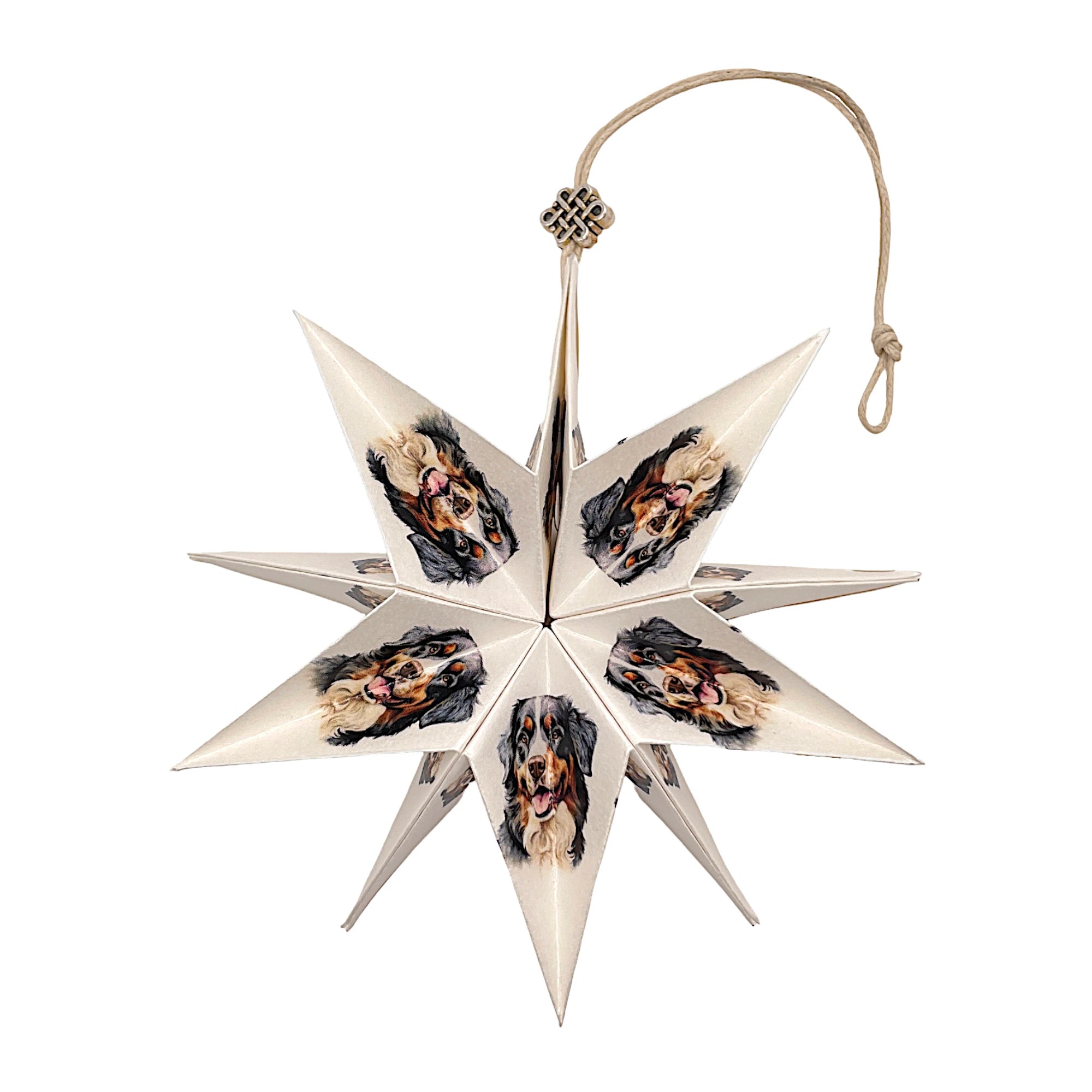 Handgefertigter Papierstern mit Sennenhund-Motiv, kunstvoll gefaltet