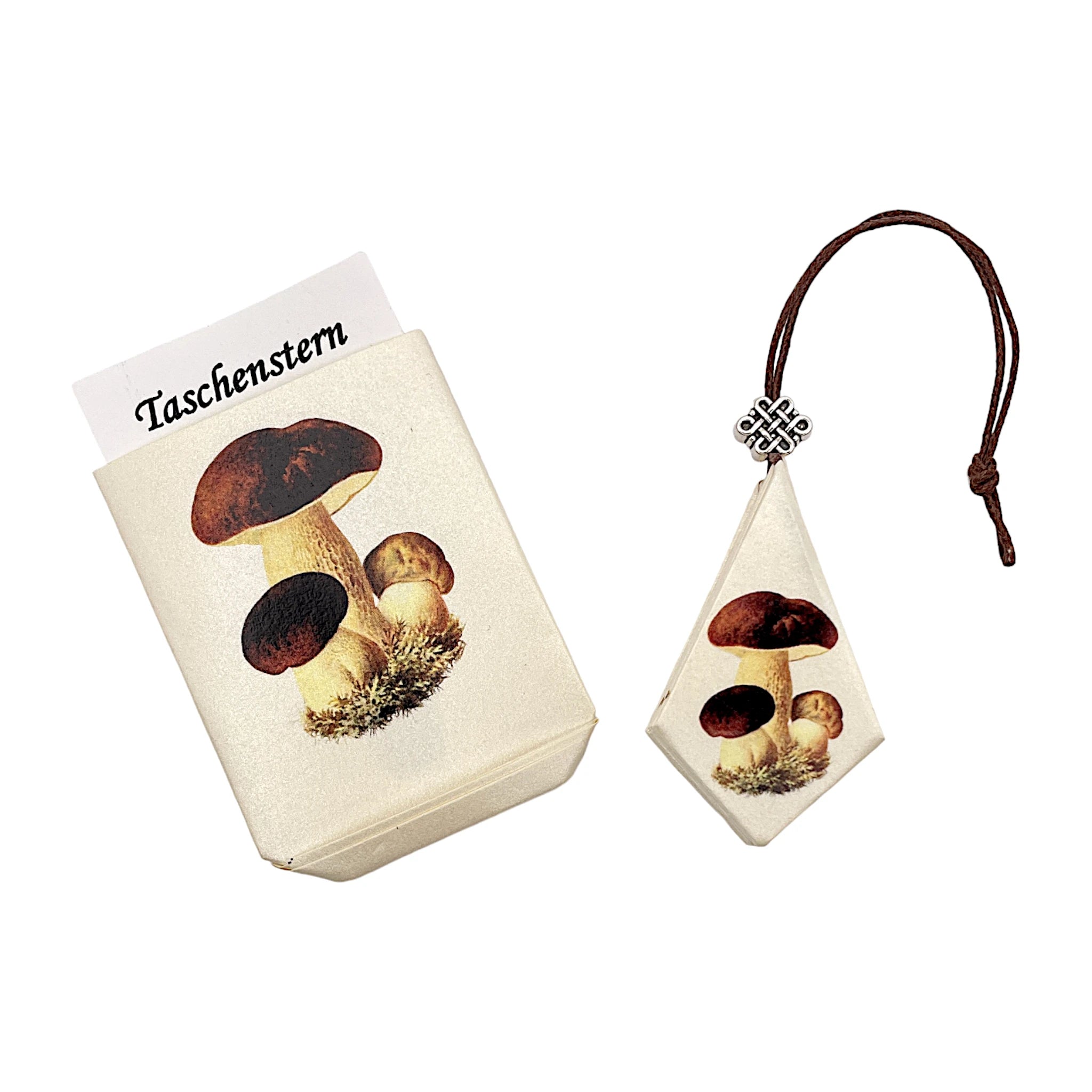 Zusammengelegter Papierstern mit Steinpilz-Design, verpackt im passenden Etui