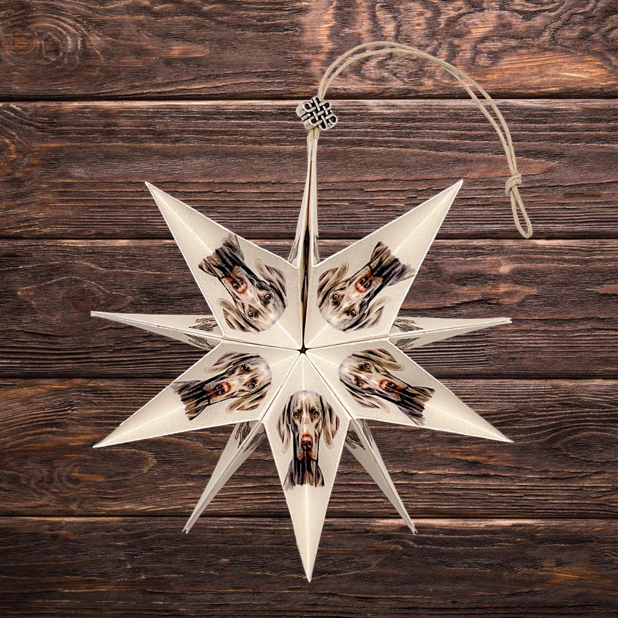 Papierstern mit Weimaraner-Motiv, dekorativ präsentiert auf rustikalem Holzhintergrund