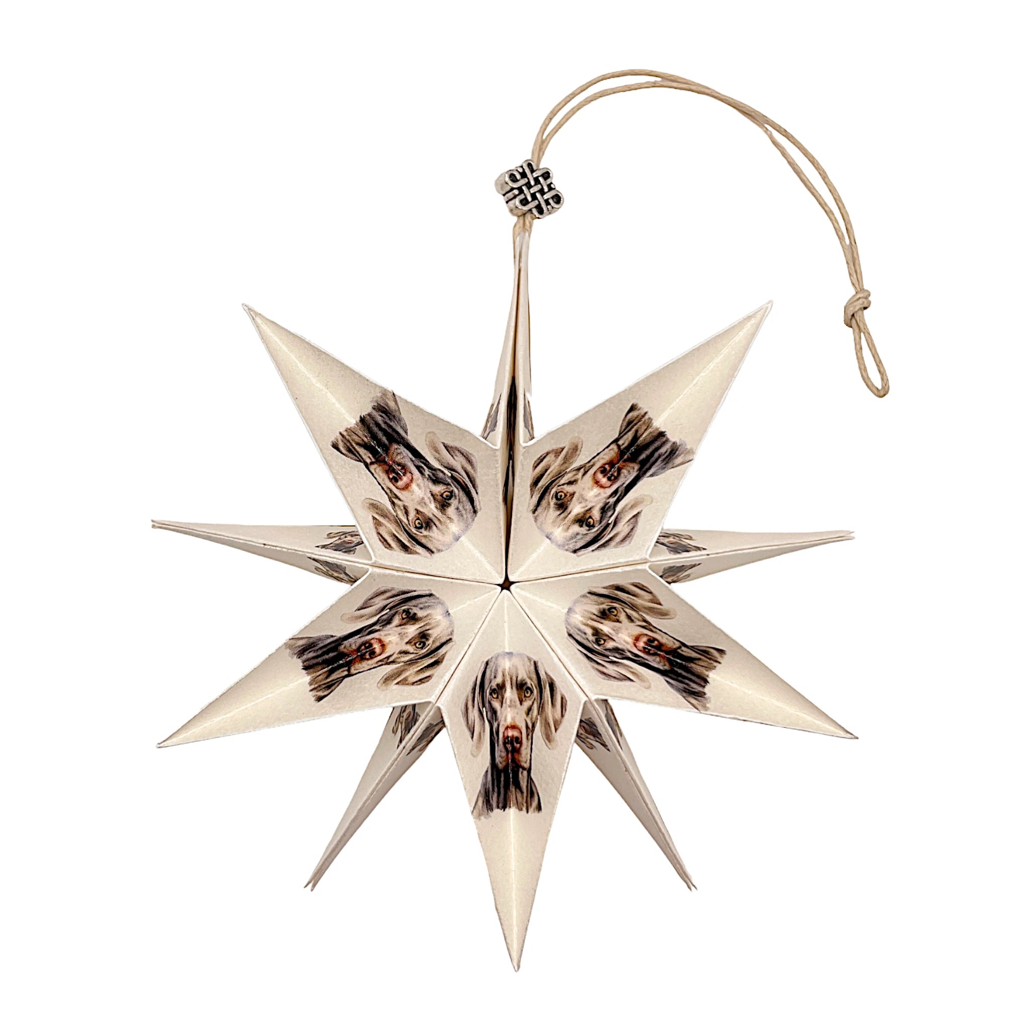 Handgefertigter Papierstern mit Weimaraner-Motiv, kunstvoll gefaltet