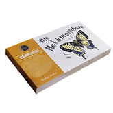 Titelbild des Daumenkinos „Metamorphose“ von Curiosi mit Schmetterling und Raupe.