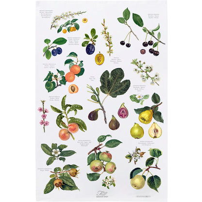 Geschirrtuch mit farbenfrohem Früchtemotiv aus Baumwolle für Küche und Landhausstil.