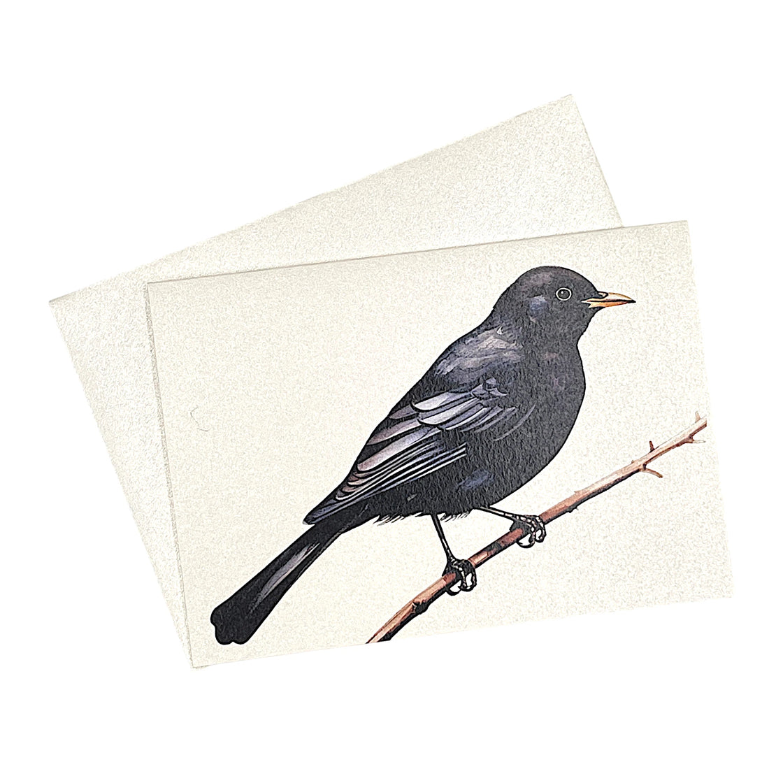 Klappkarte mit einer Amsel auf Ast